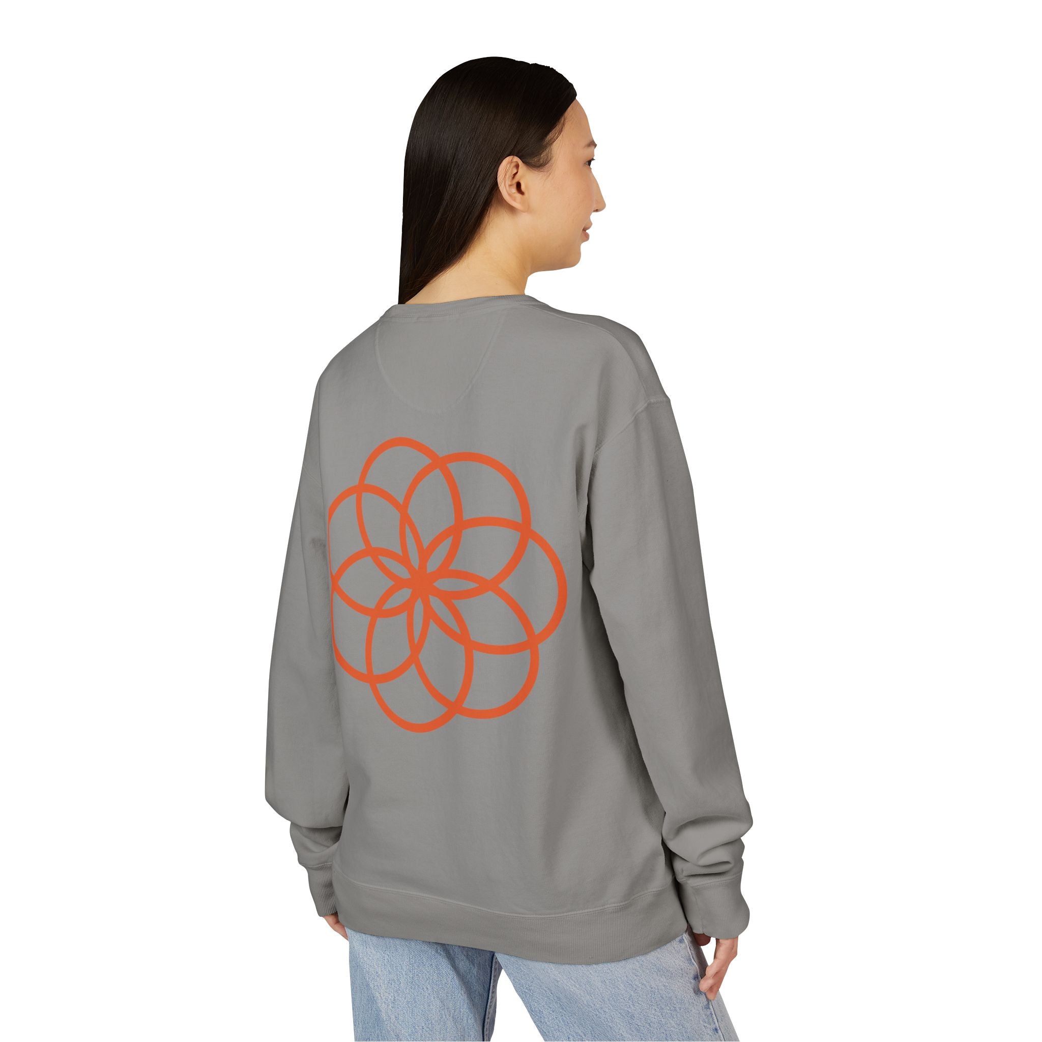 NDR Geometric  Crewneck  Pullover