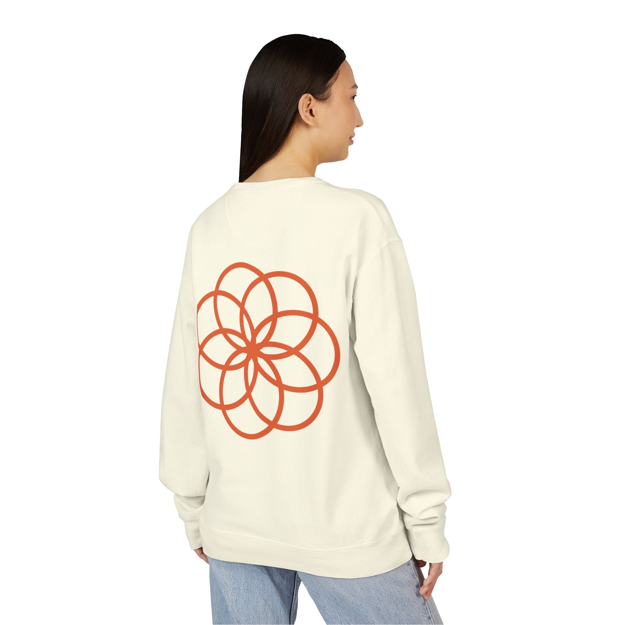 NDR Geometric  Crewneck  Pullover