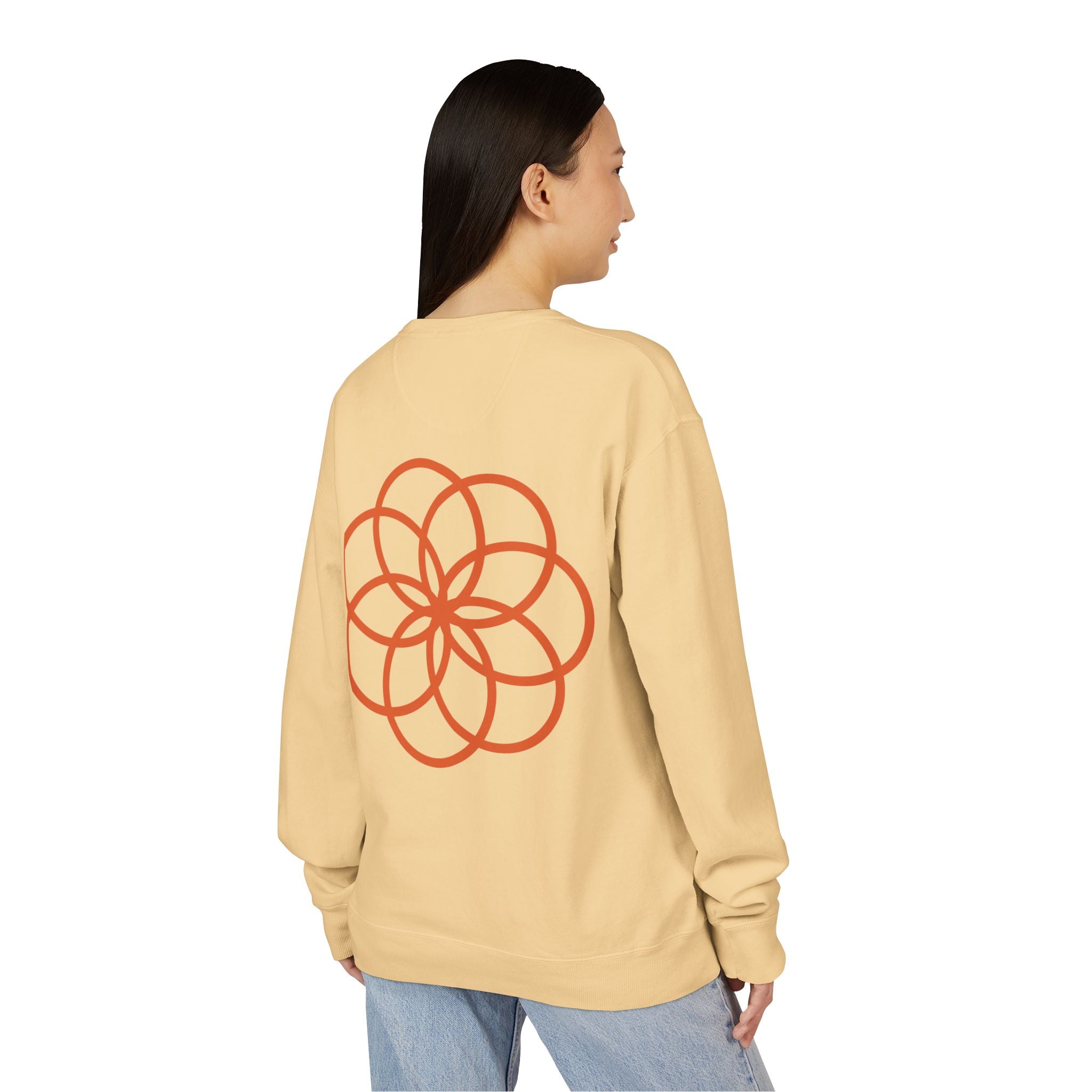 NDR Geometric  Crewneck  Pullover